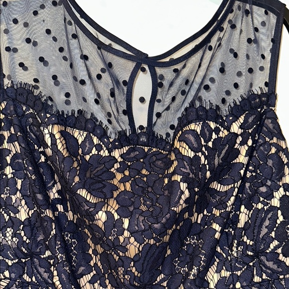 Elegant Navy Lace Dress with Polka Dot Mesh - Picture 2 of 7
